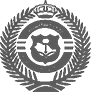 Government client